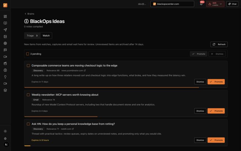 Pending items with source, relevance and time left before they expire The Triage tab on a brain, with three pending items